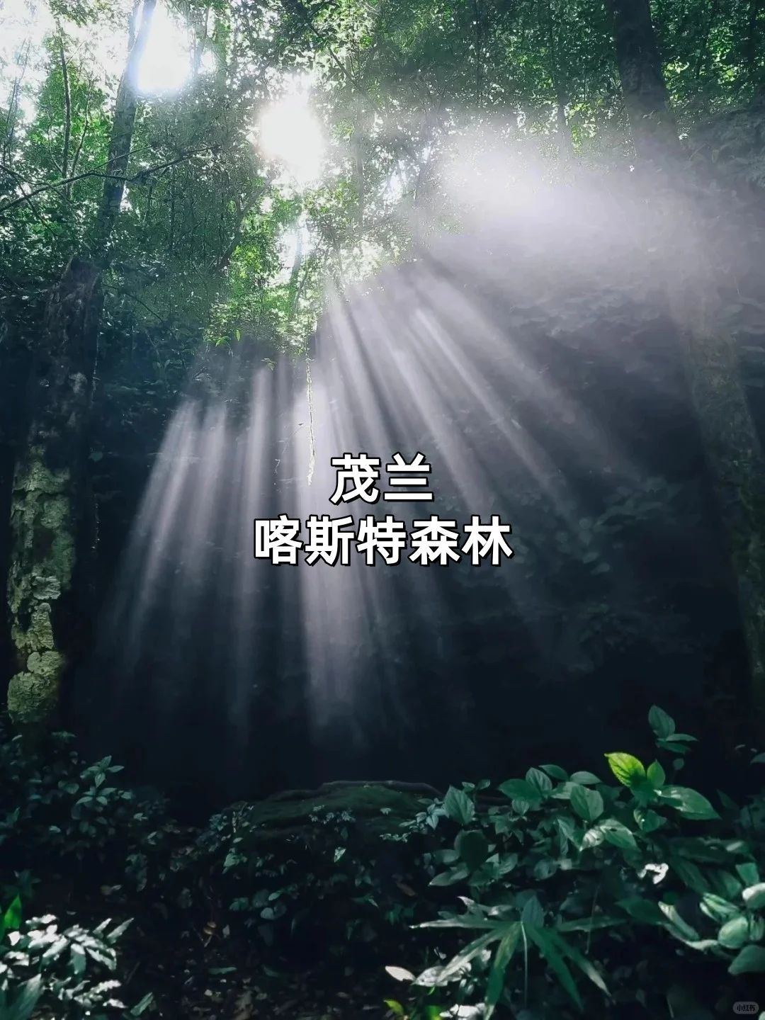 2025暑假新选择｜九个小众避暑胜地推荐