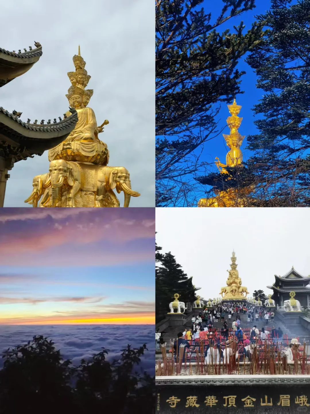 峨眉山旅游攻略🎒这趟旅程太值了！