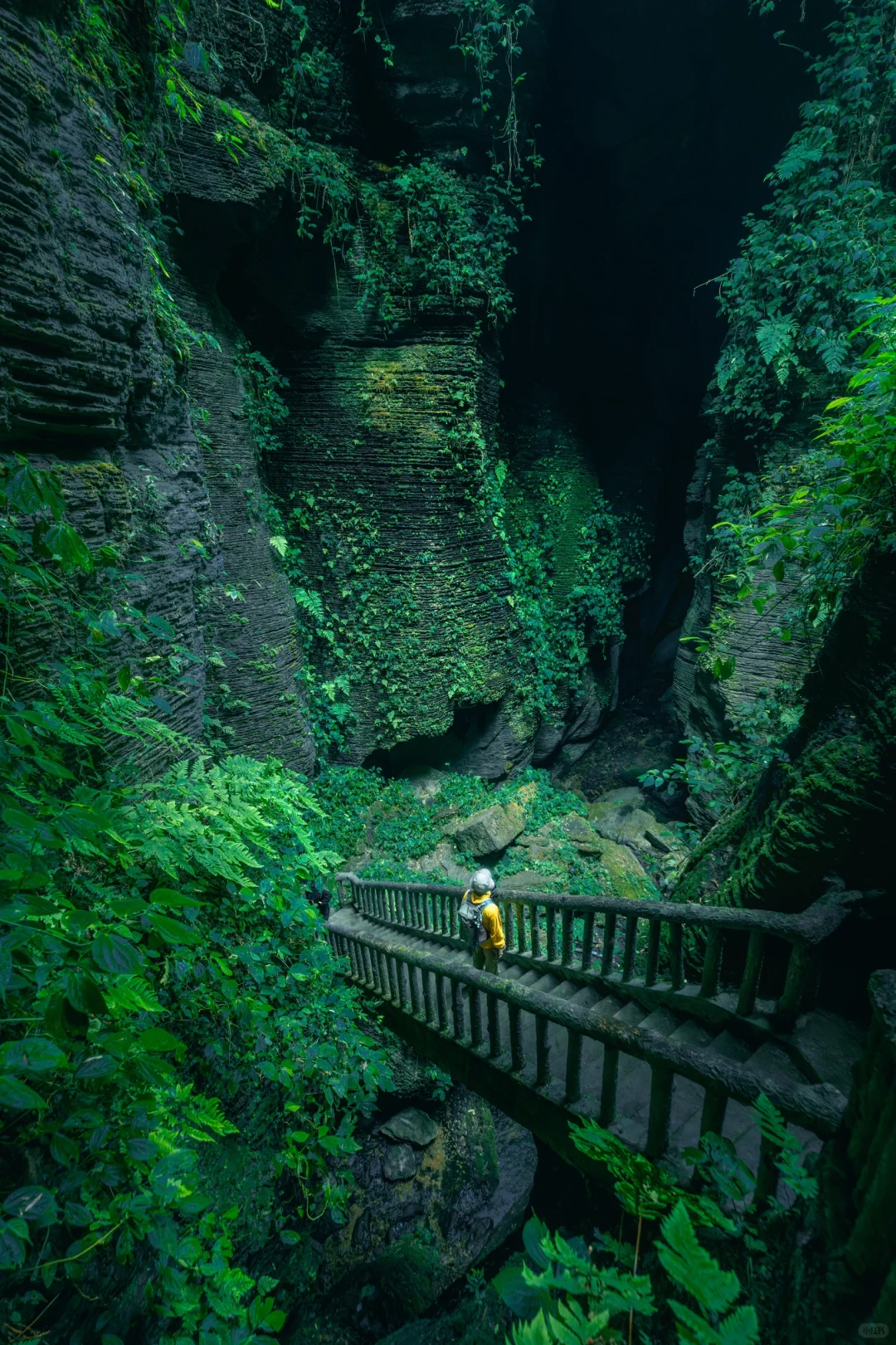 为了这组照片，特意自驾去了趟宜宾！值得么？