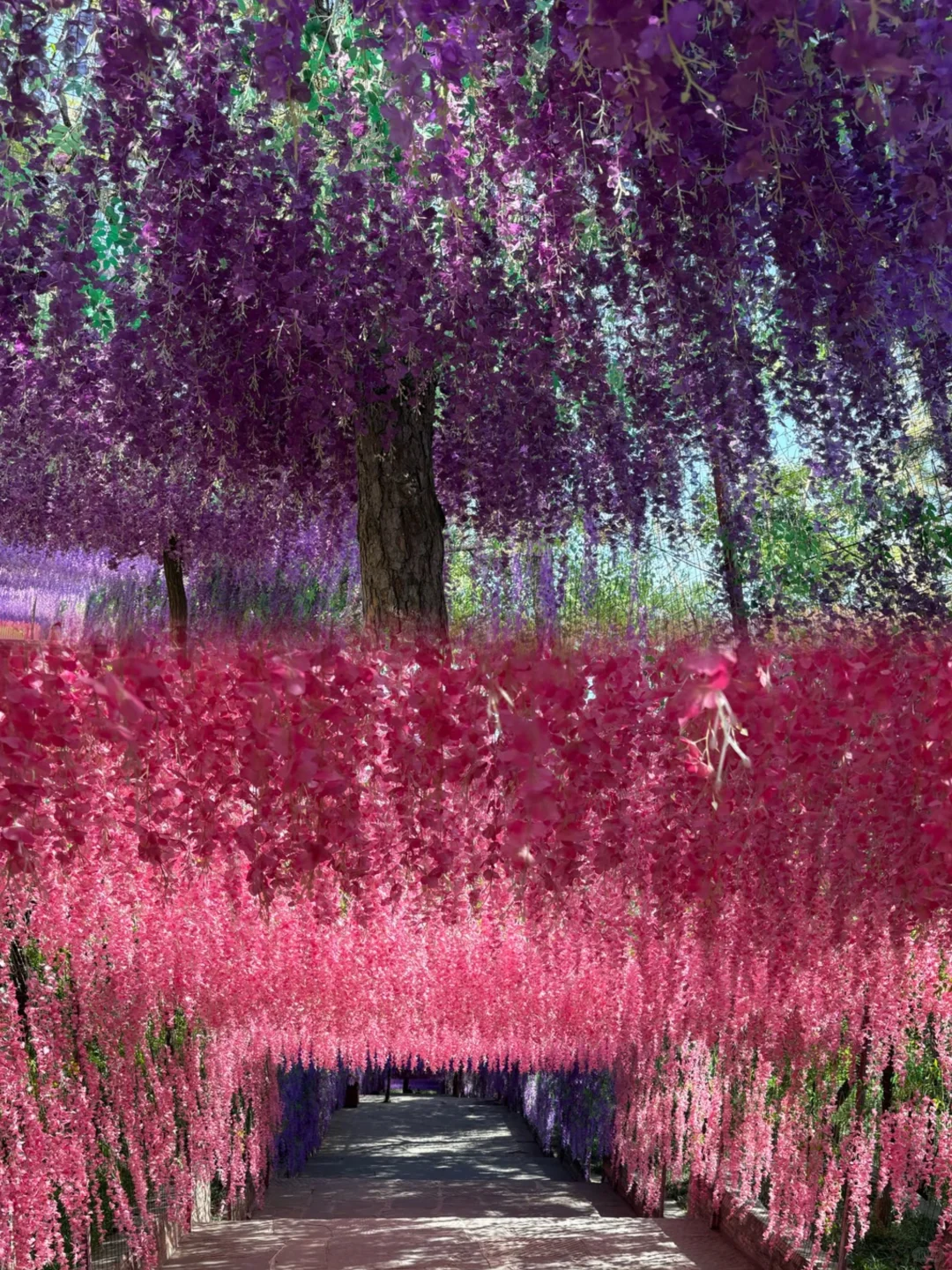 京娘湖旅游攻略：怎么玩、怎么吃、怎么住