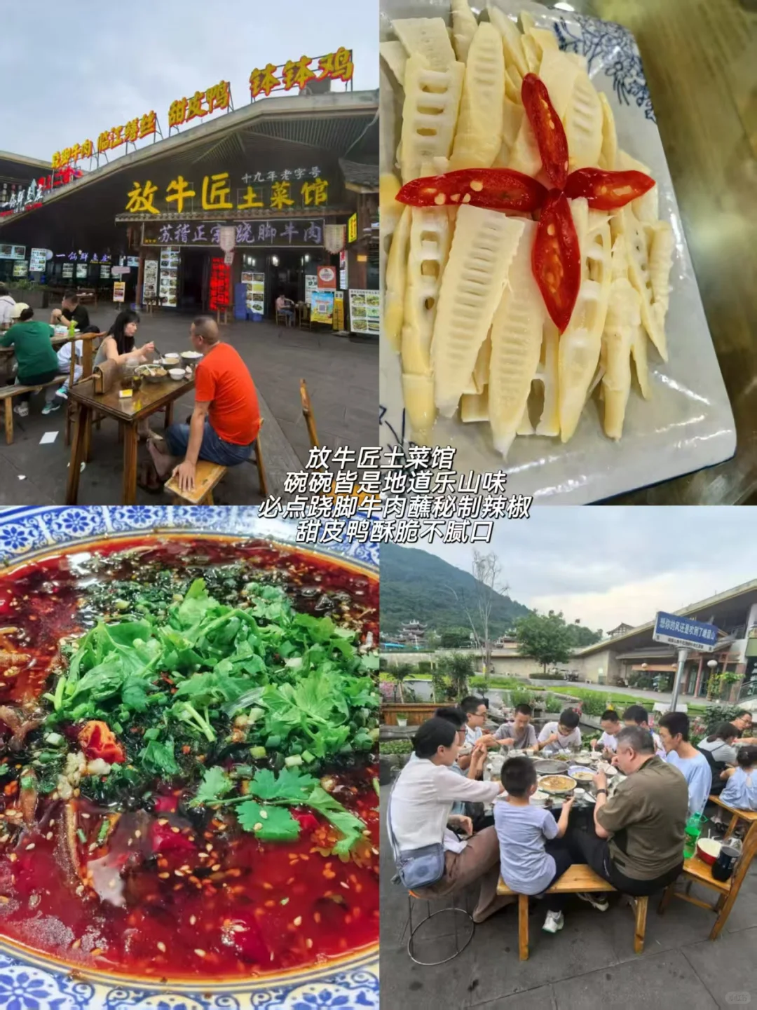 峨眉山旅游攻略🎒这趟旅程太值了！