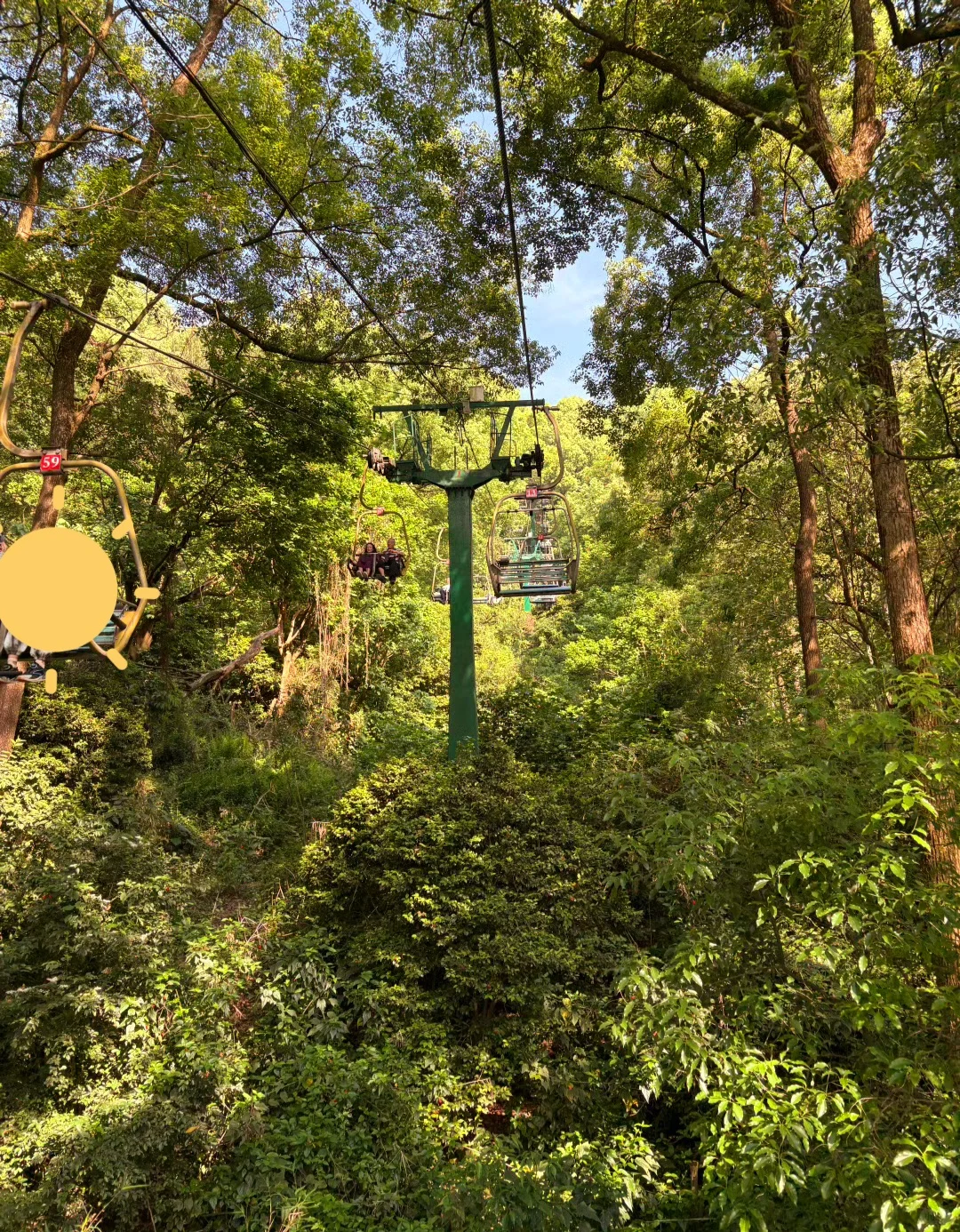 听劝,宜宾会惩罚每一个不做攻略的人❗