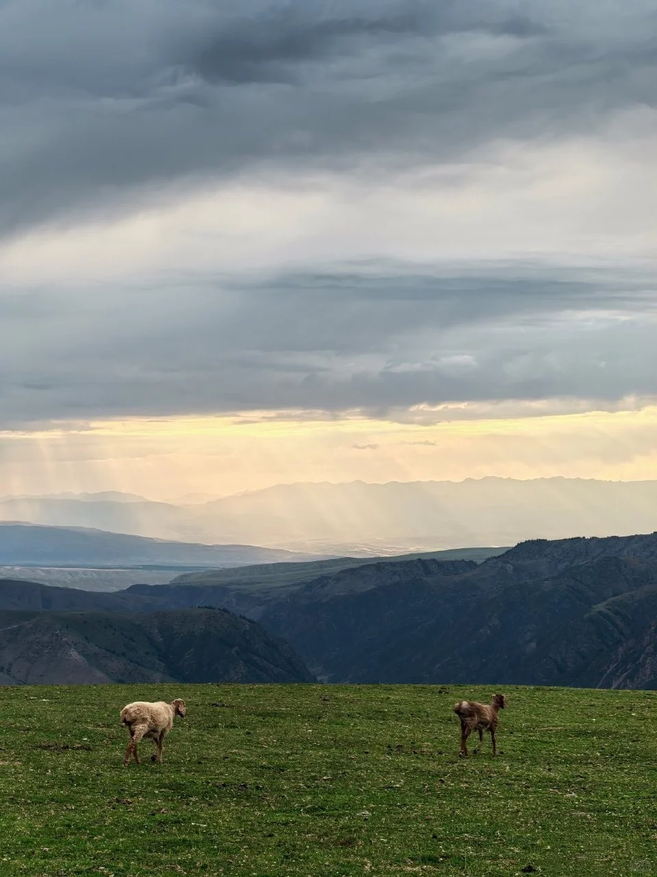 7.31📍新疆已回，别带错衣服了…😭😅