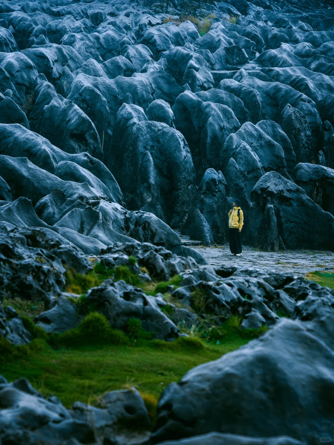 为了这组照片，特意自驾去了趟宜宾！值得么？