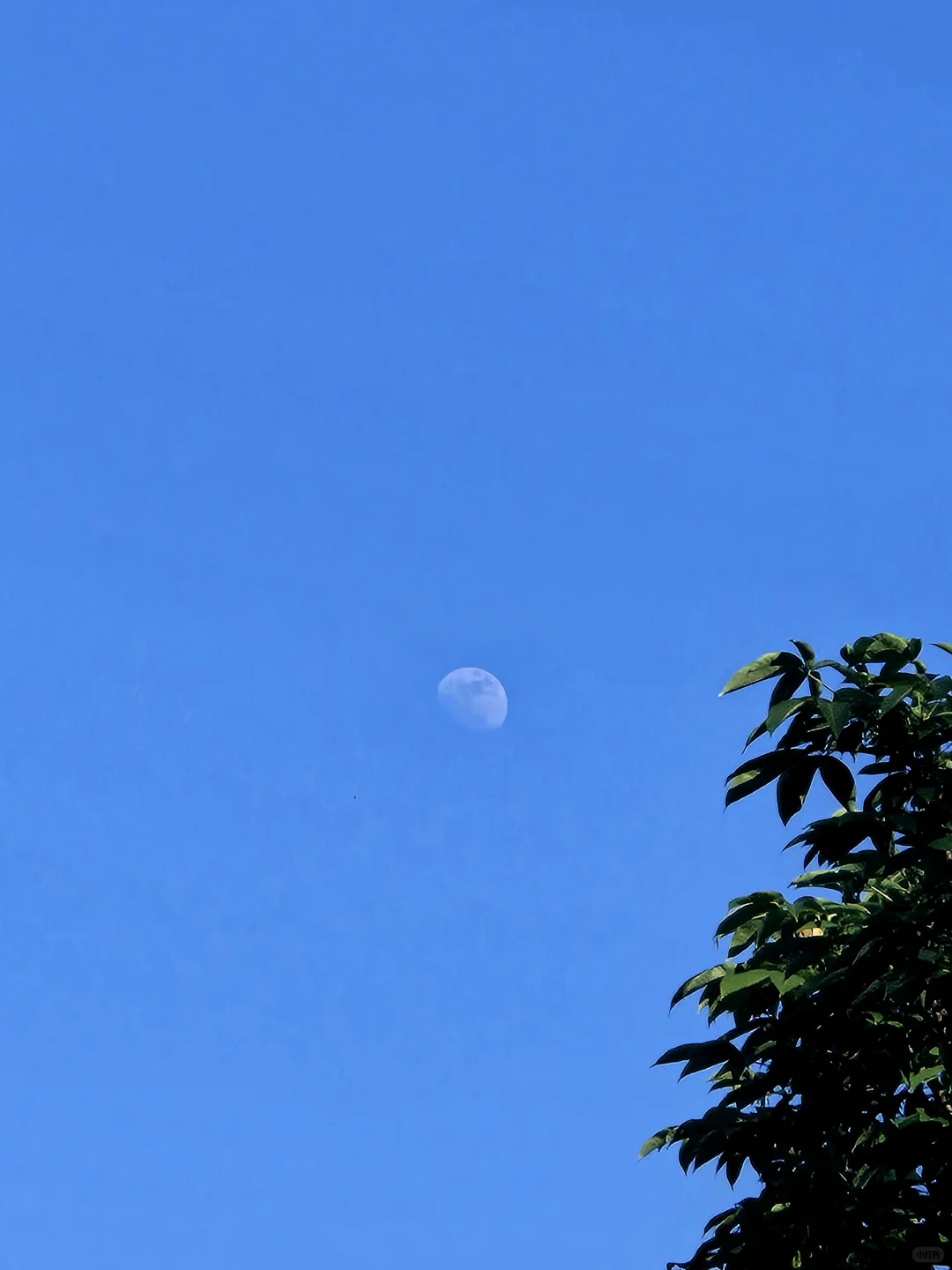 小众景点贵阳喀斯特石林公园攻略