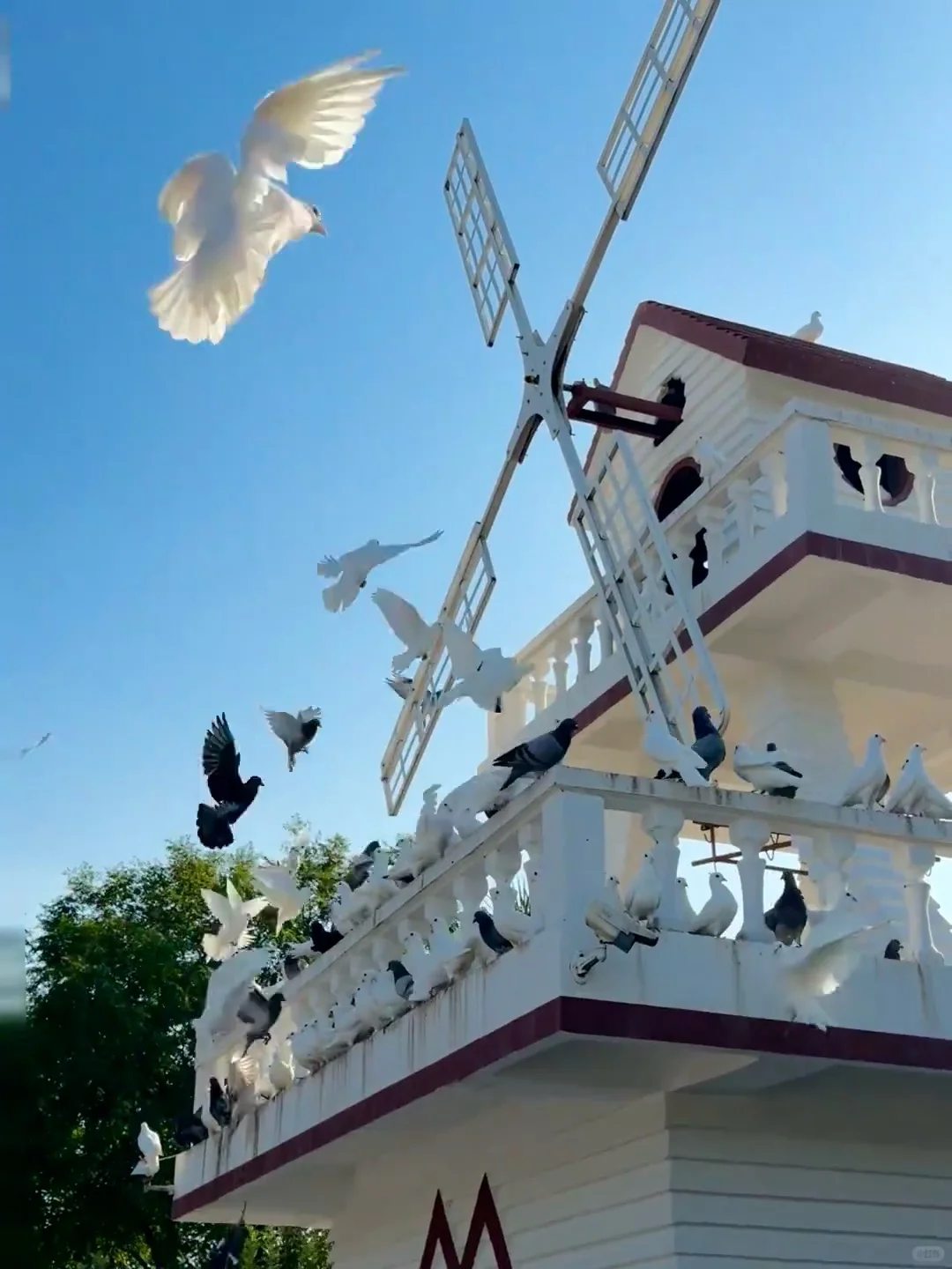 南京旅游攻略|赶紧码住😭纯干货经典三日游