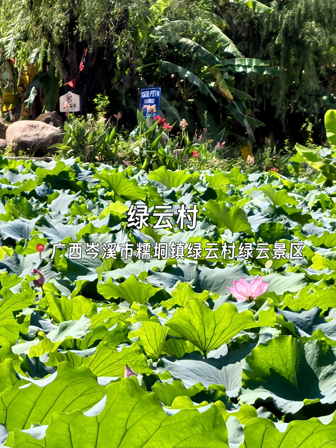 广西岑溪必打卡九个景点❗你去过几个？