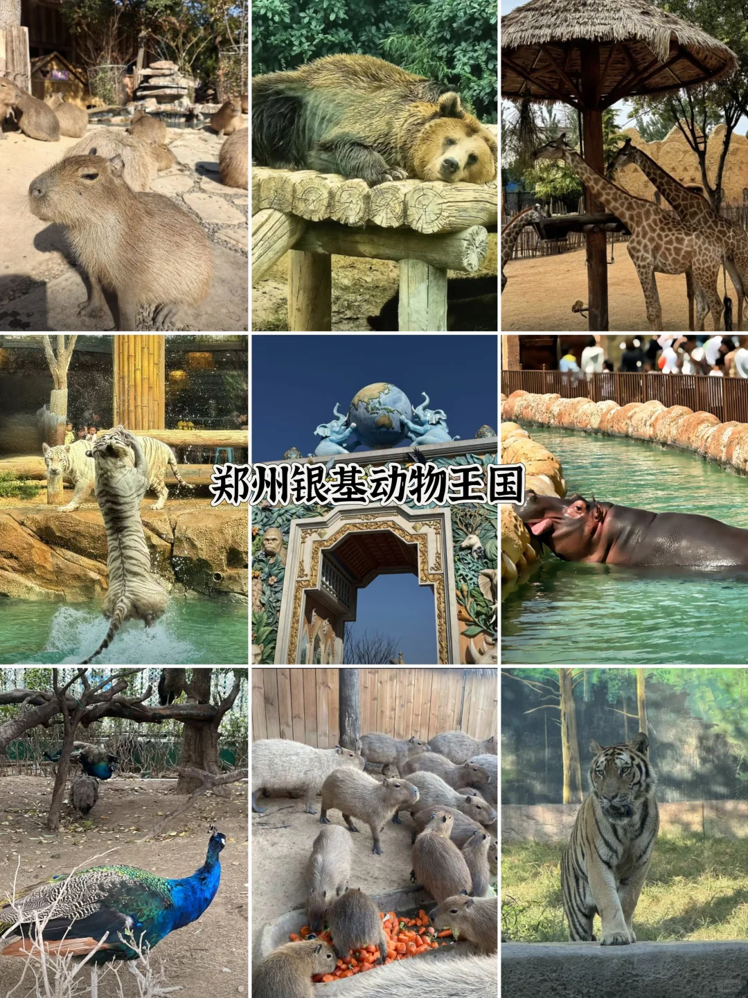 郑州被低估的旅行宝藏地|九大必打卡景点不