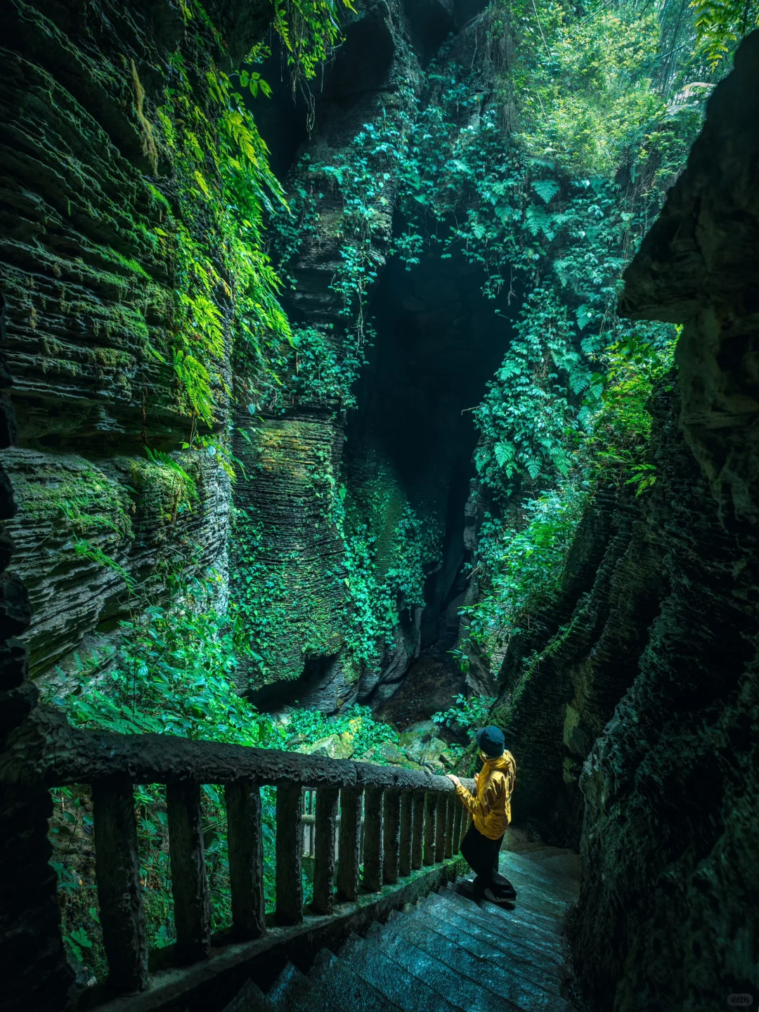 为了这组照片，特意自驾去了趟宜宾！值得么？