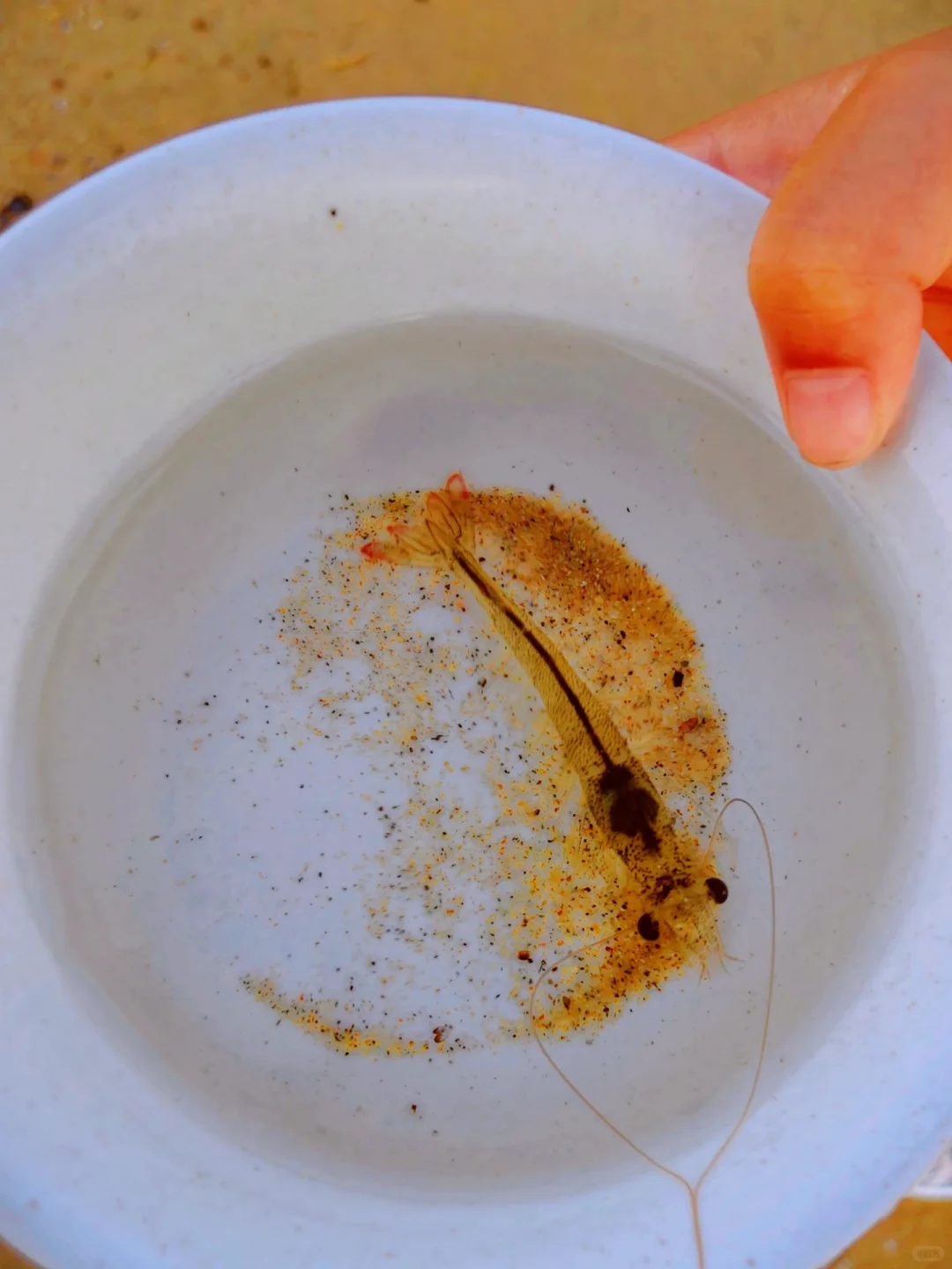 威海荣成小众海滩，别再盯着布鲁维斯日落啦