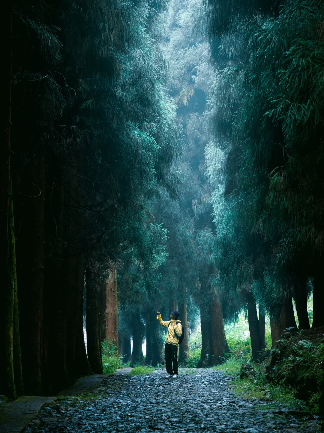 为了这组照片，特意自驾去了趟宜宾！值得么？