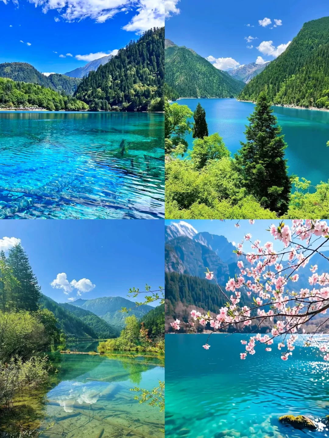 适合一家人，夏天出行的4个清凉胜地