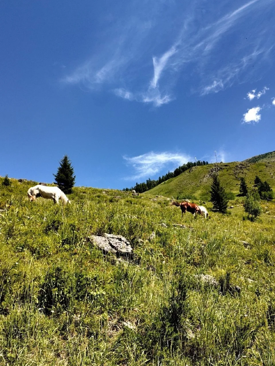 7.31📍新疆已回，别带错衣服了…😭😅