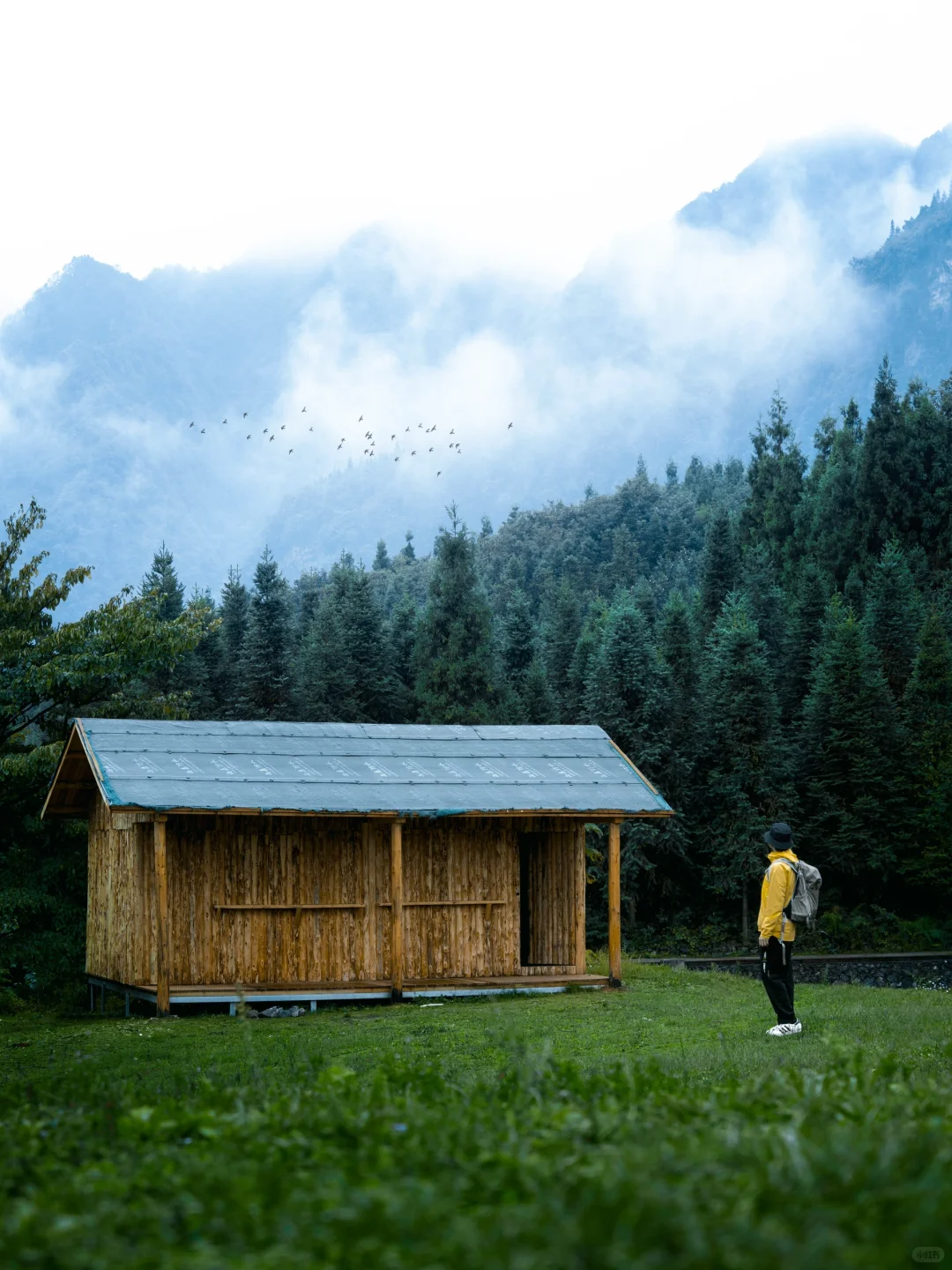 为了这组照片，特意自驾去了趟宜宾！值得么？