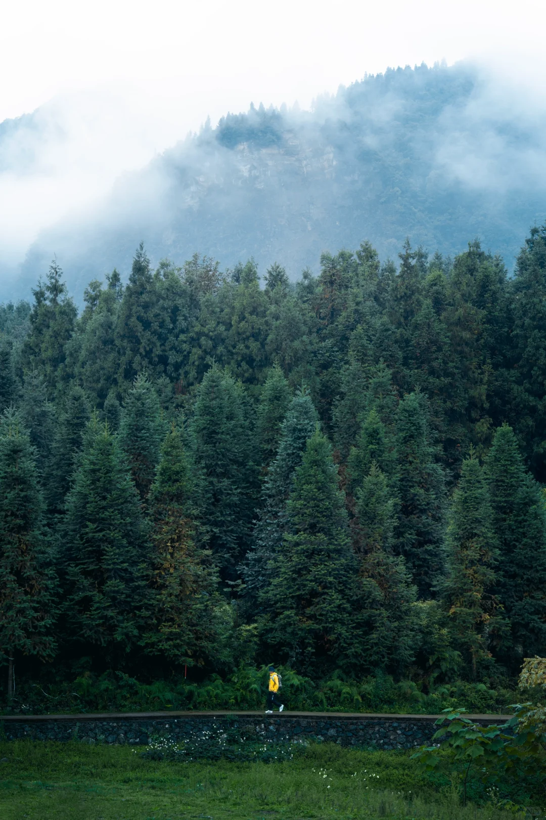 为了这组照片，特意自驾去了趟宜宾！值得么？