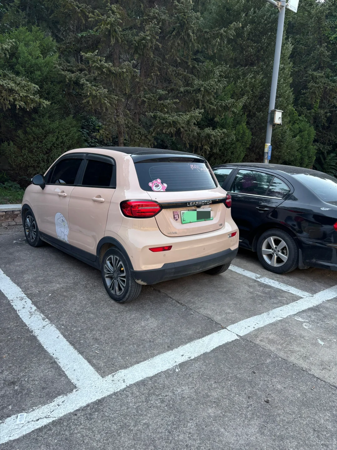 开车带娃和狗狗去玩水