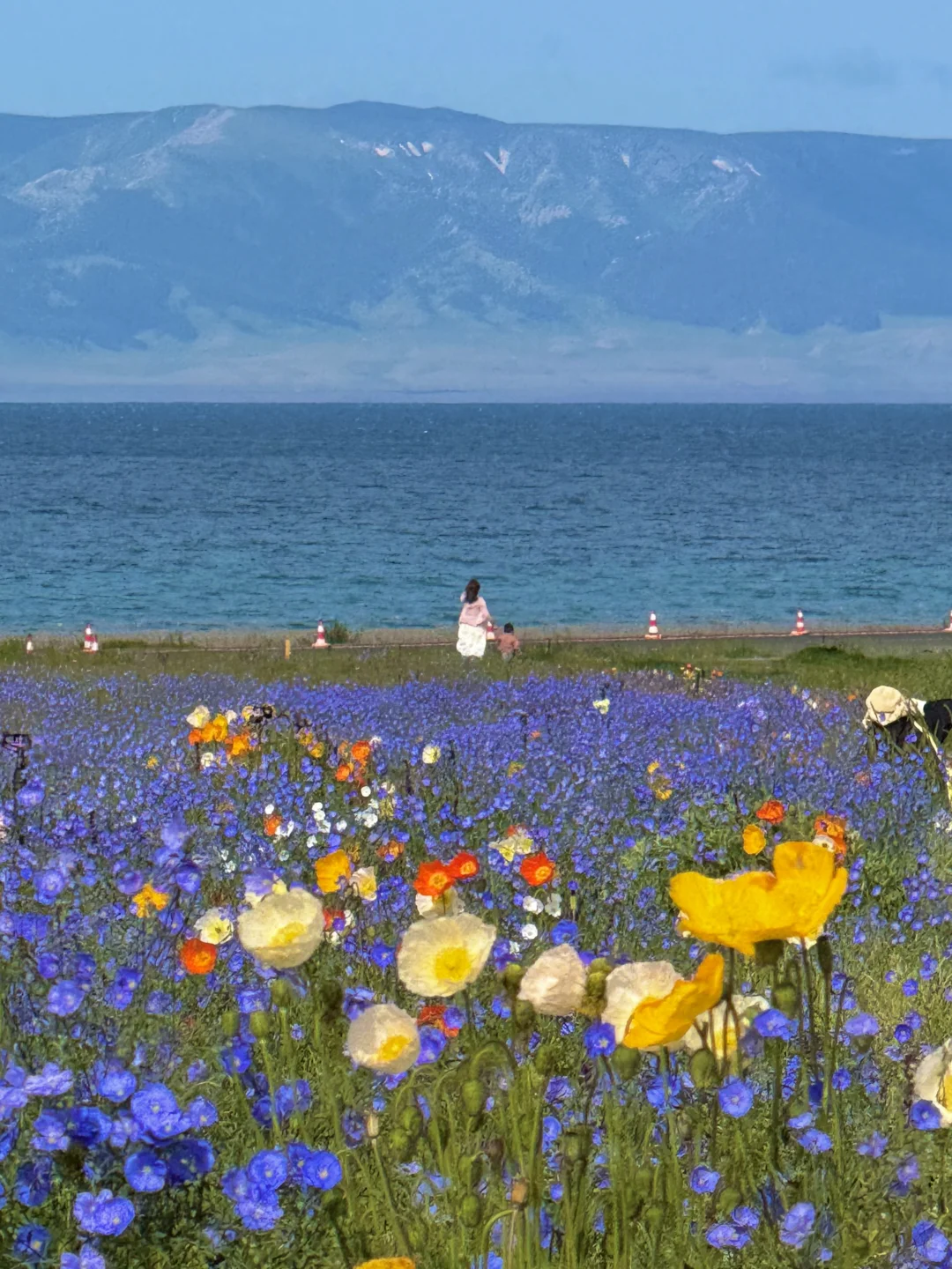 从新疆回来，一点不想上班😭