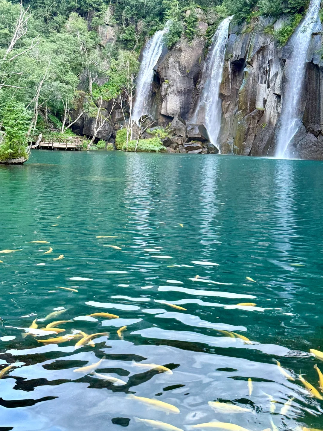 8.1的长白山天池