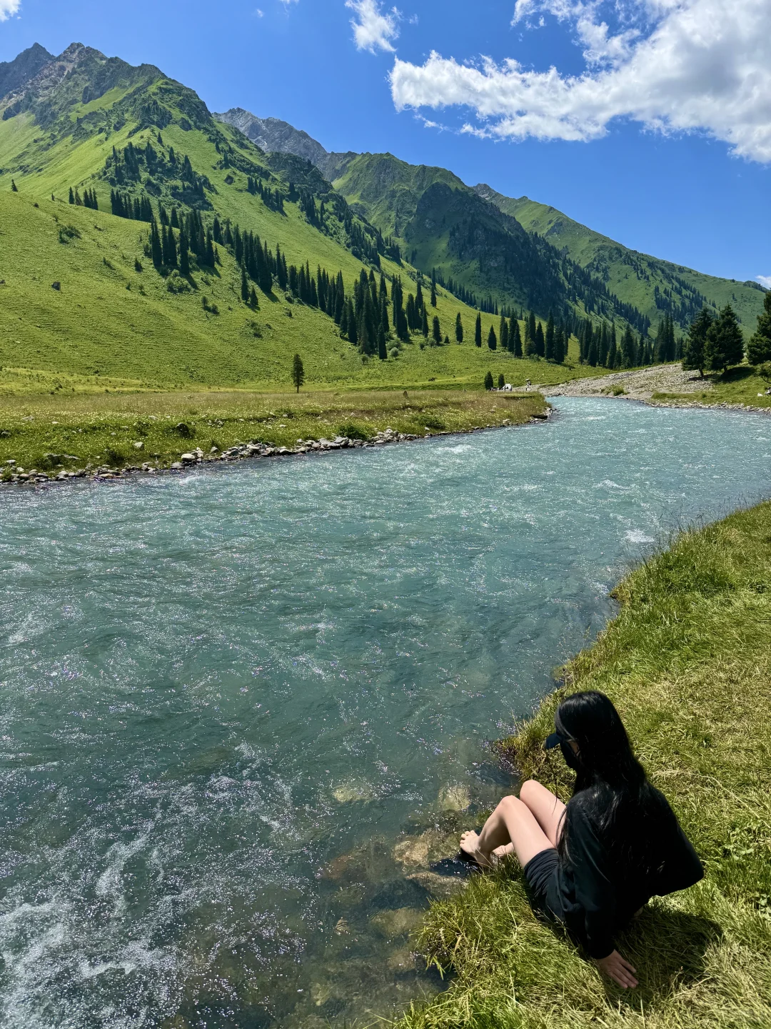 人生live！新疆的夏天真的是人间理想🌲🐑🐂