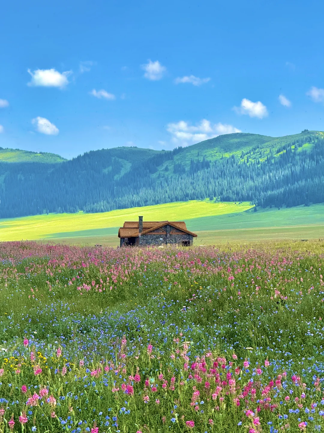 从新疆回来，一点不想上班😭