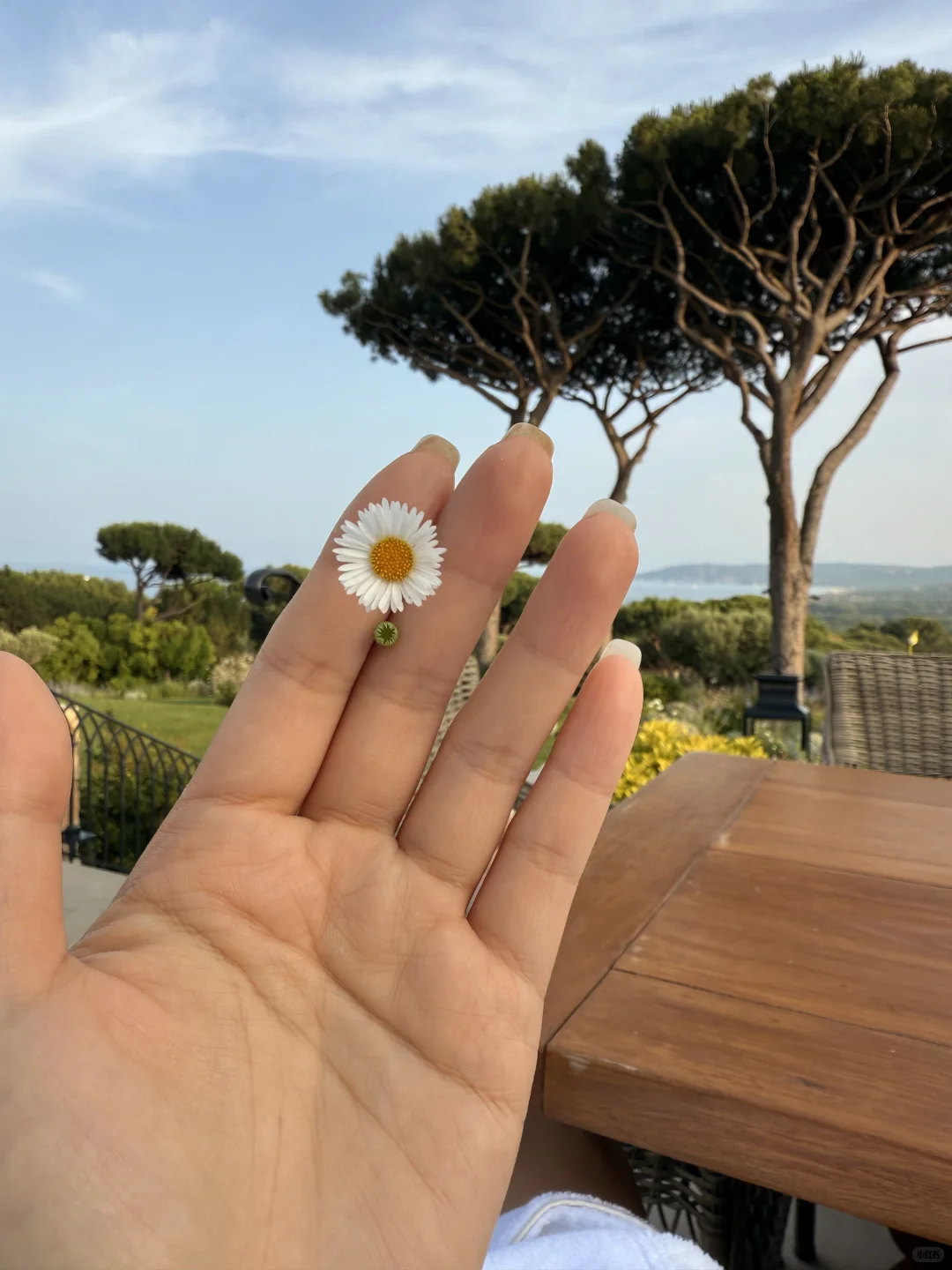 圣特罗佩Airelles，这里真的太梦幻了🫧