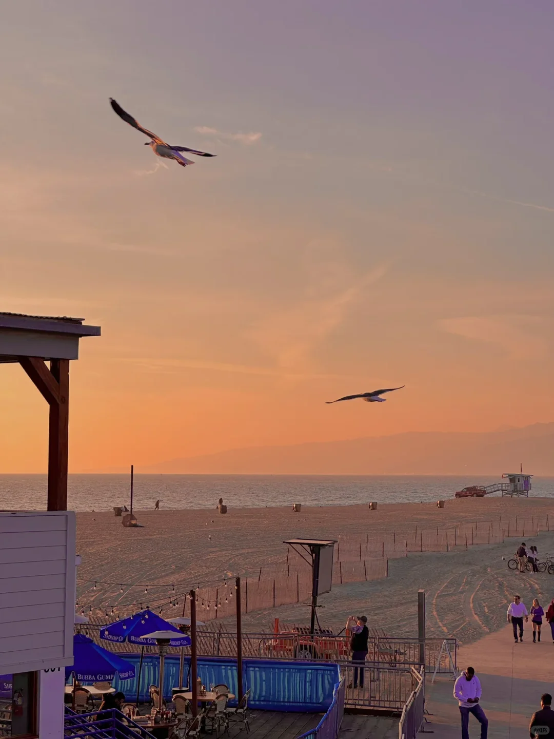 洛杉矶机场接送机，包车旅游，预约无需等待