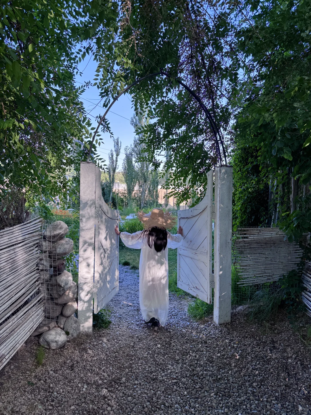 人生live！新疆的夏天真的是人间理想🌲🐑🐂