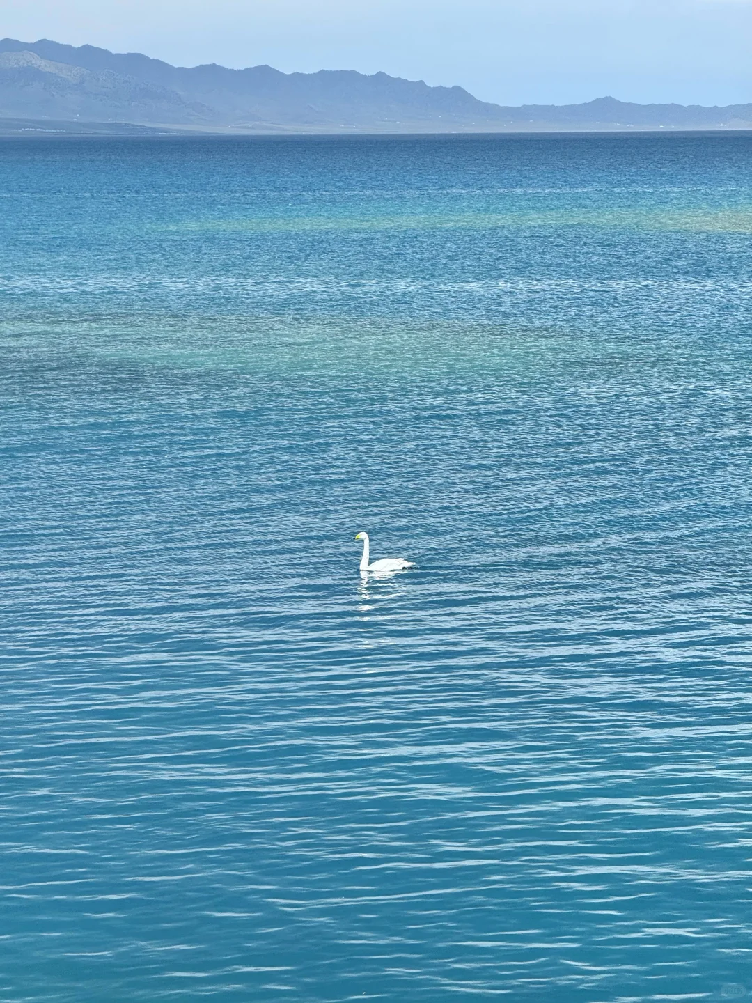 从新疆回来，一点不想上班😭