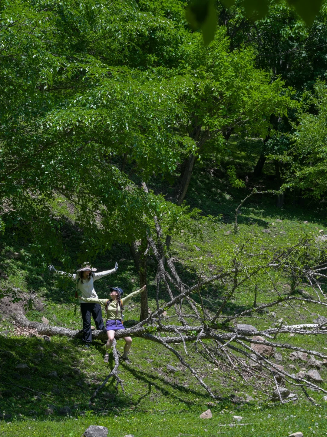 河北也有“小伊犁”？