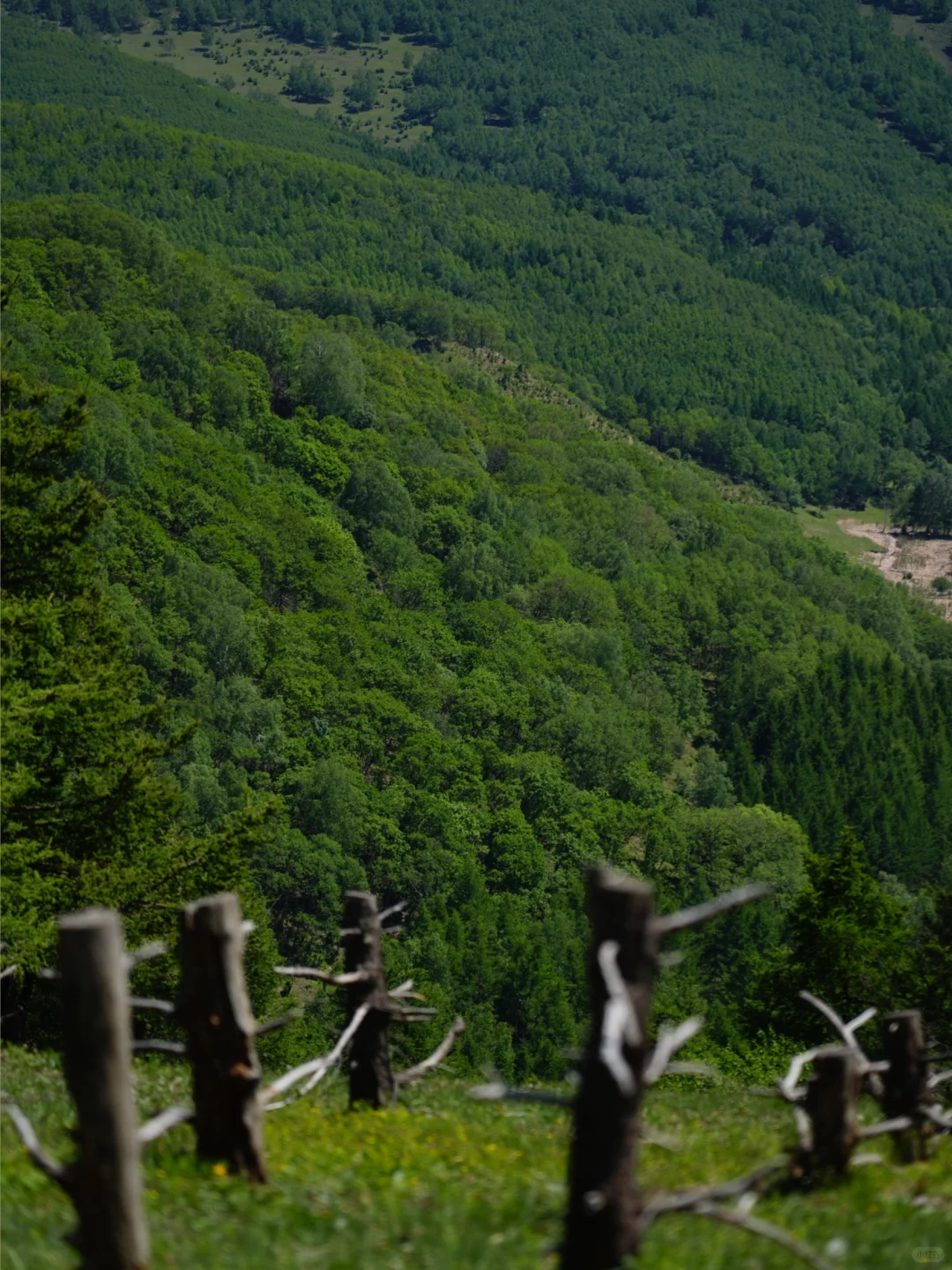 河北也有“小伊犁”？