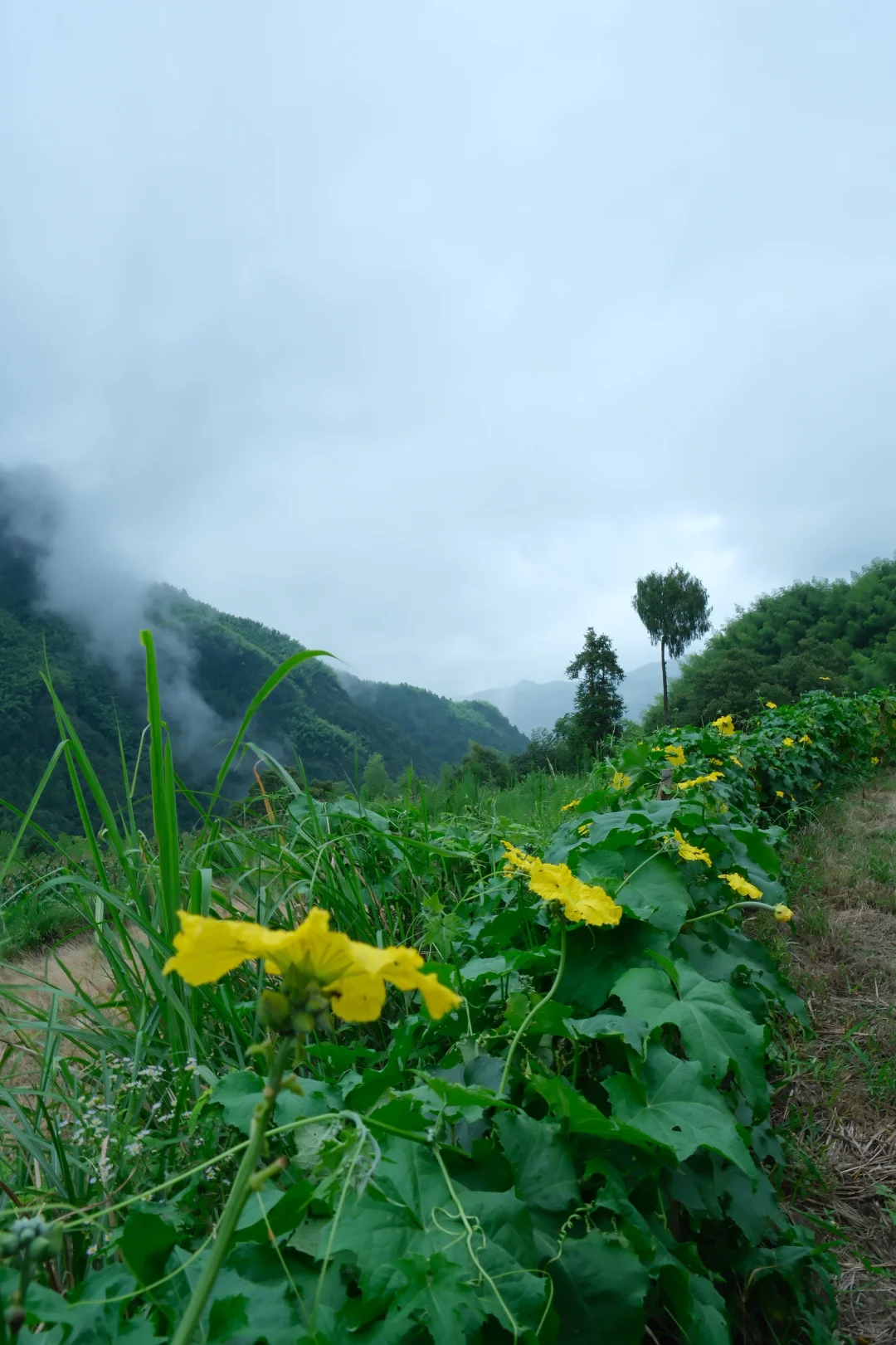 公盂48h｜仙居古村⛰️
