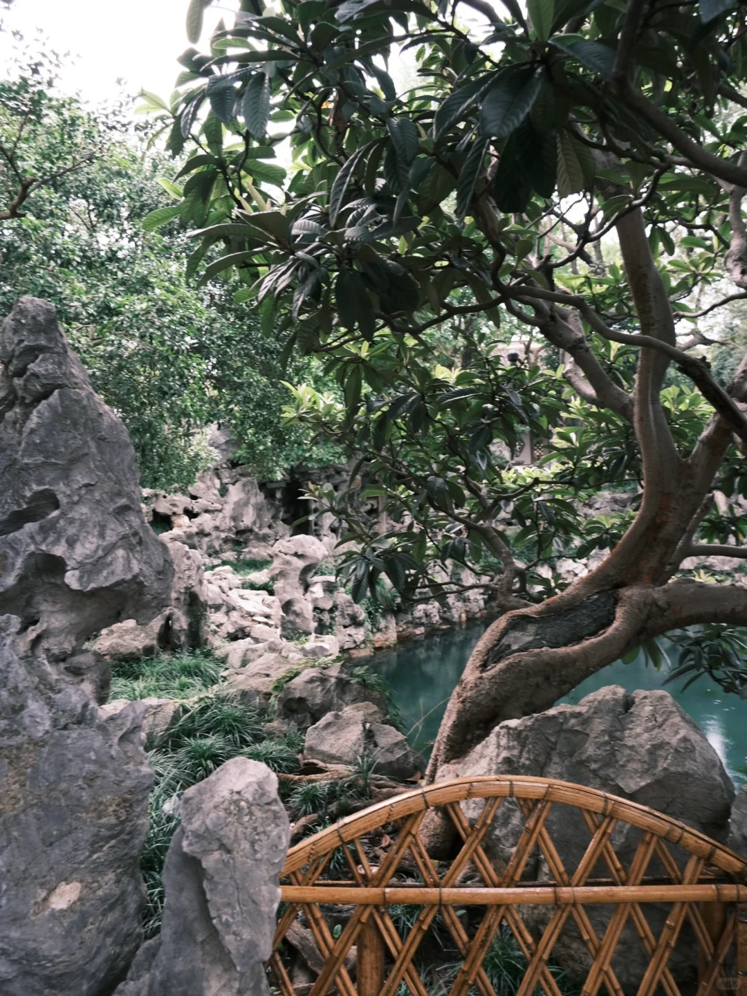 总会选择带朋友去怡园