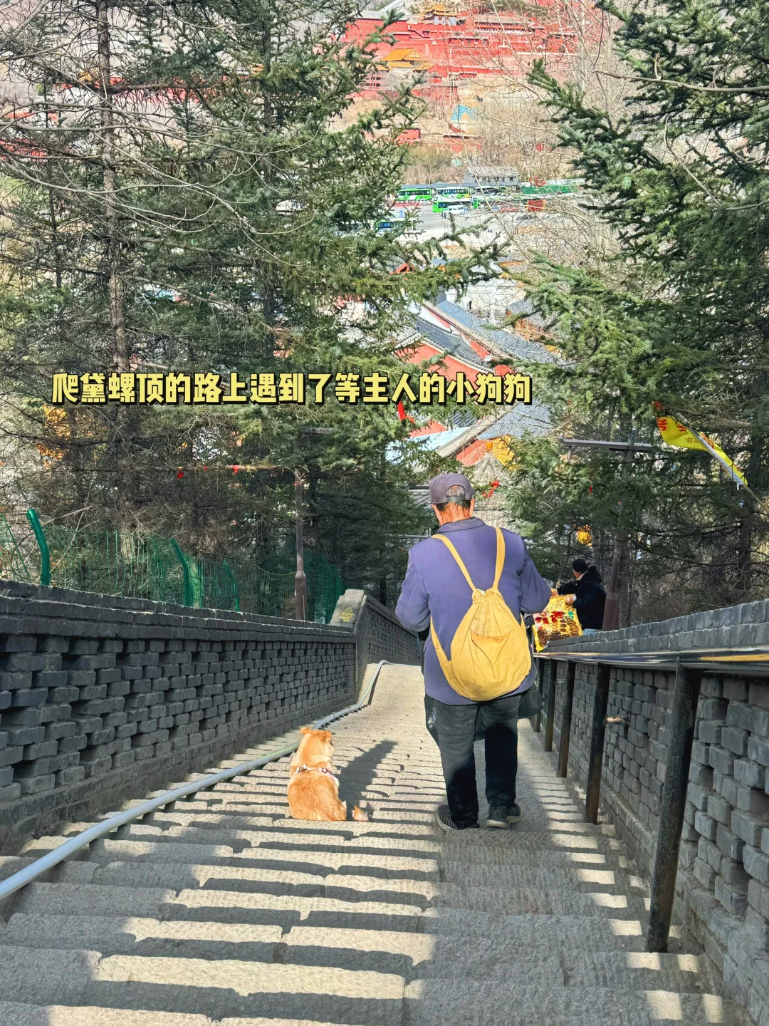 🌟【五台山极简攻略】祈福+拍照+避坑一篇搞定