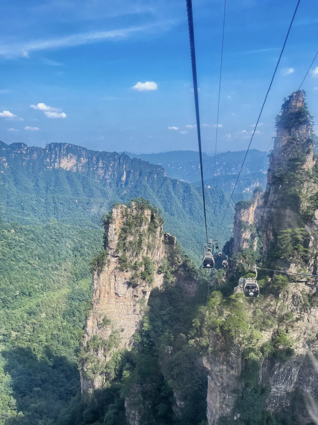 999节天阶！越过的人生尽是坦途✨