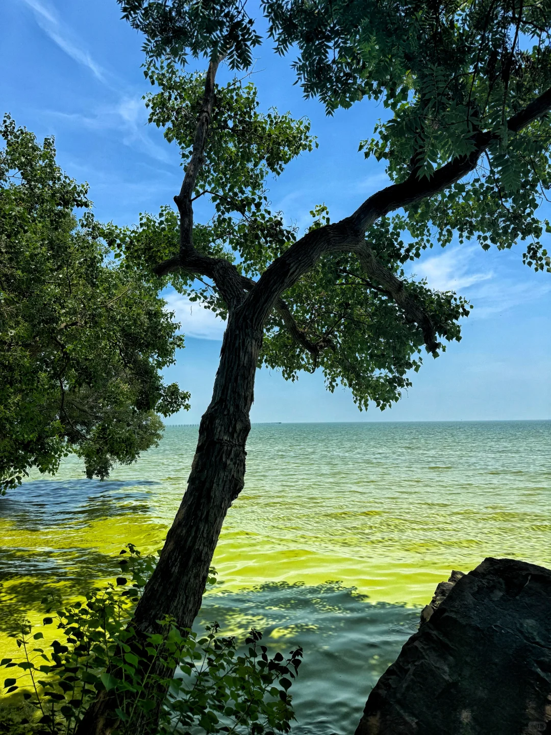 无锡济州岛！！