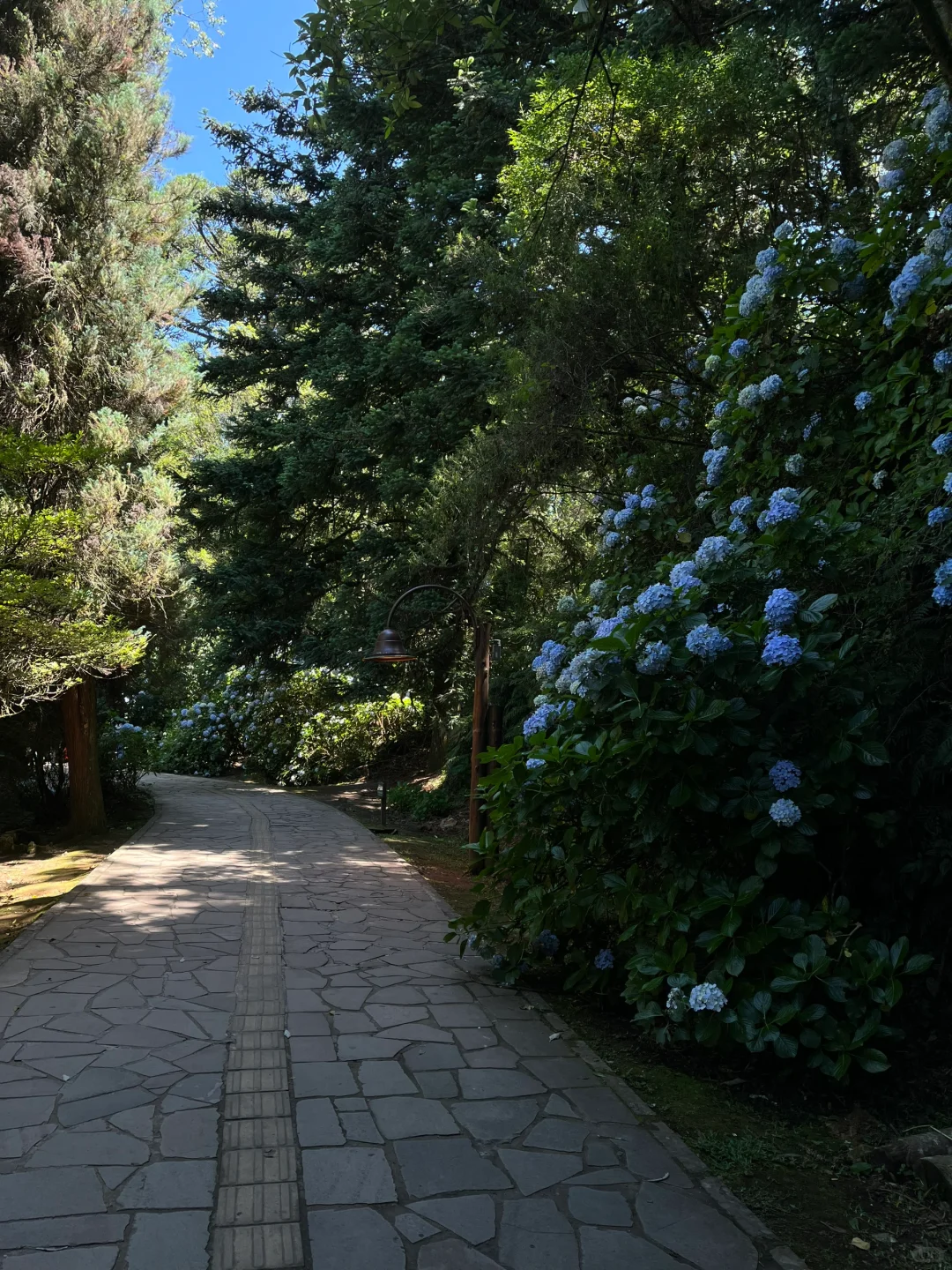 📍Gramado, Brazil 巴西的魔幻城市 ✨