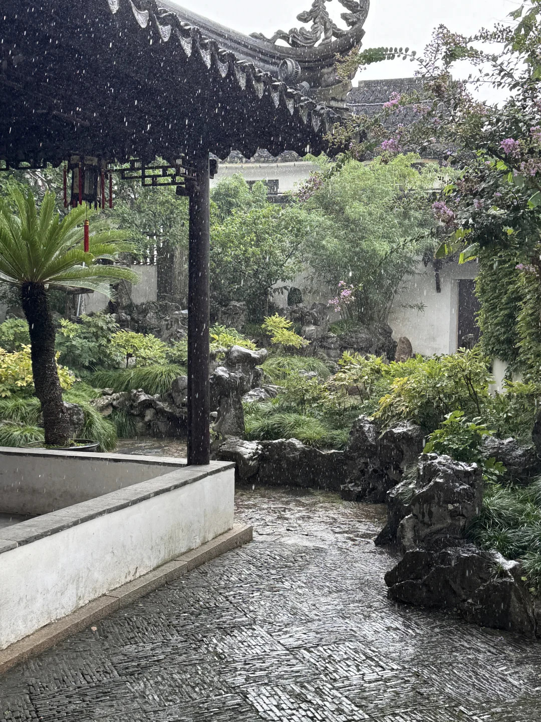 总会选择带朋友去怡园