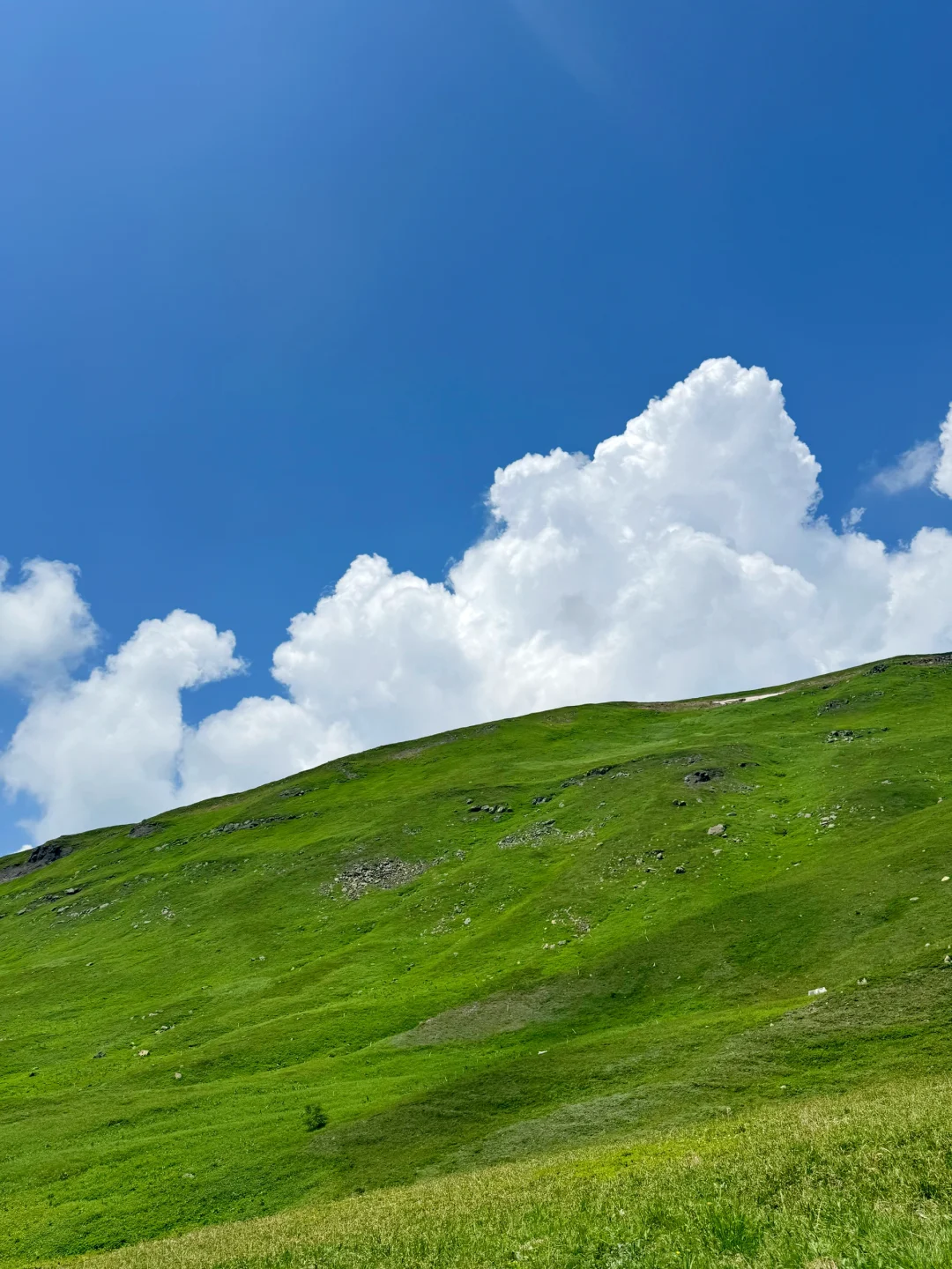 长白山西坡天池实况💥超详细攻略