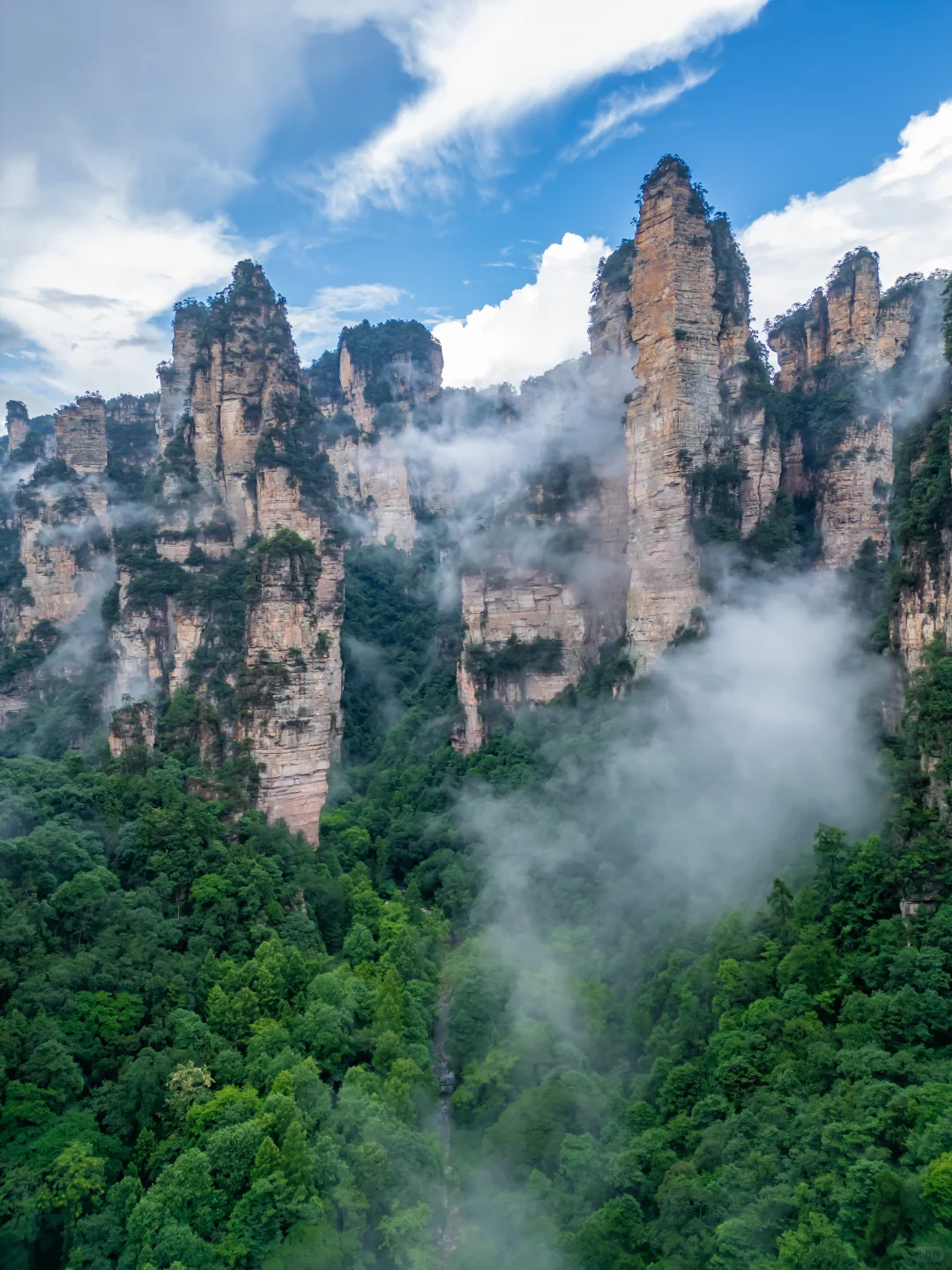 带娃张家界这么玩，不排队不爬坡不费腿攻略