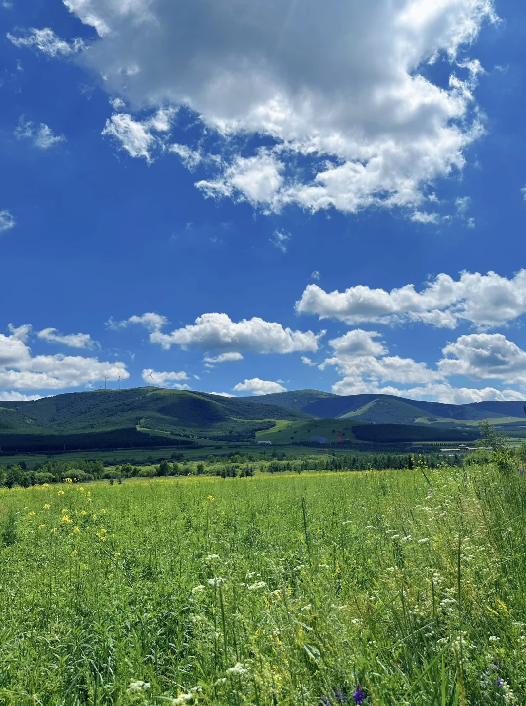坝上草原➕马镇