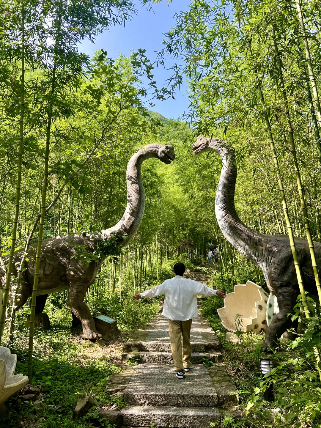 江浙沪尖叫天花板‼️迄今为止最爱的游乐园