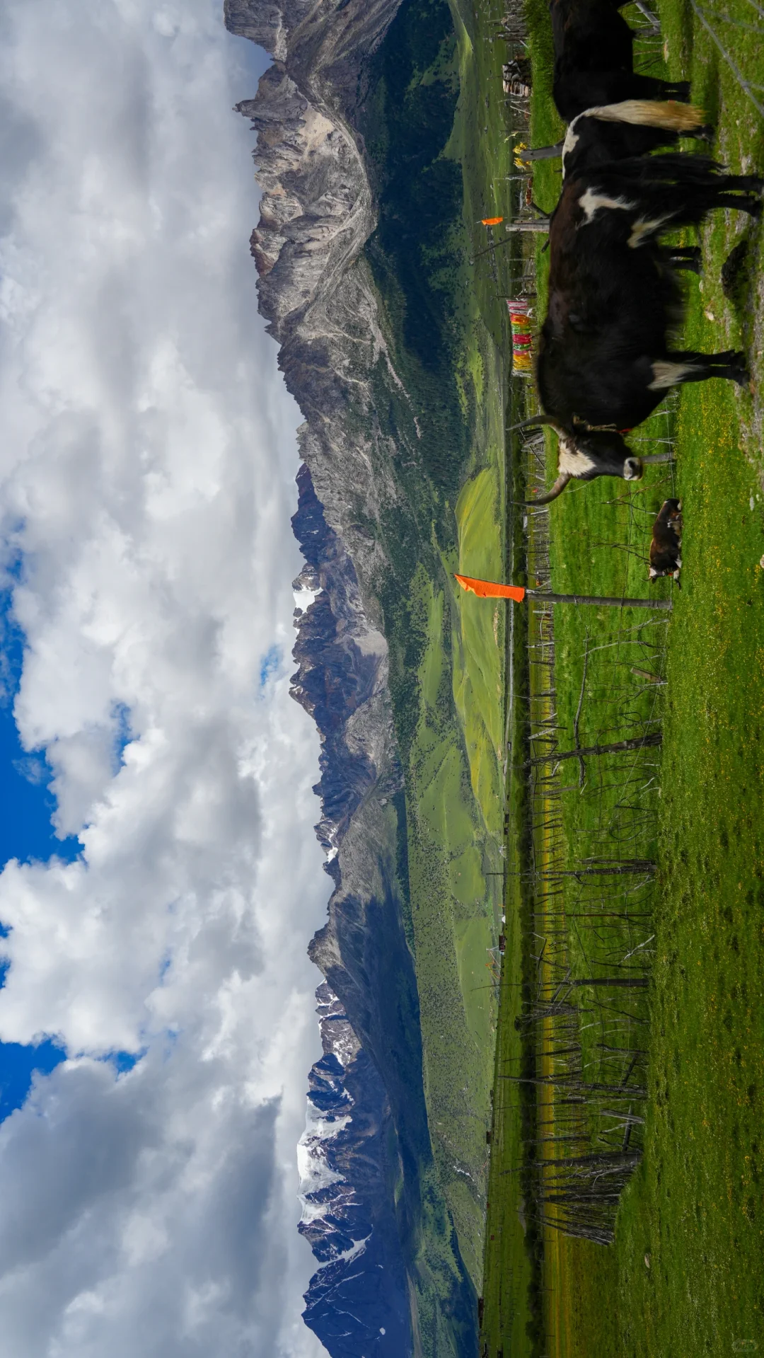 川西最低调的景区却美得不像话