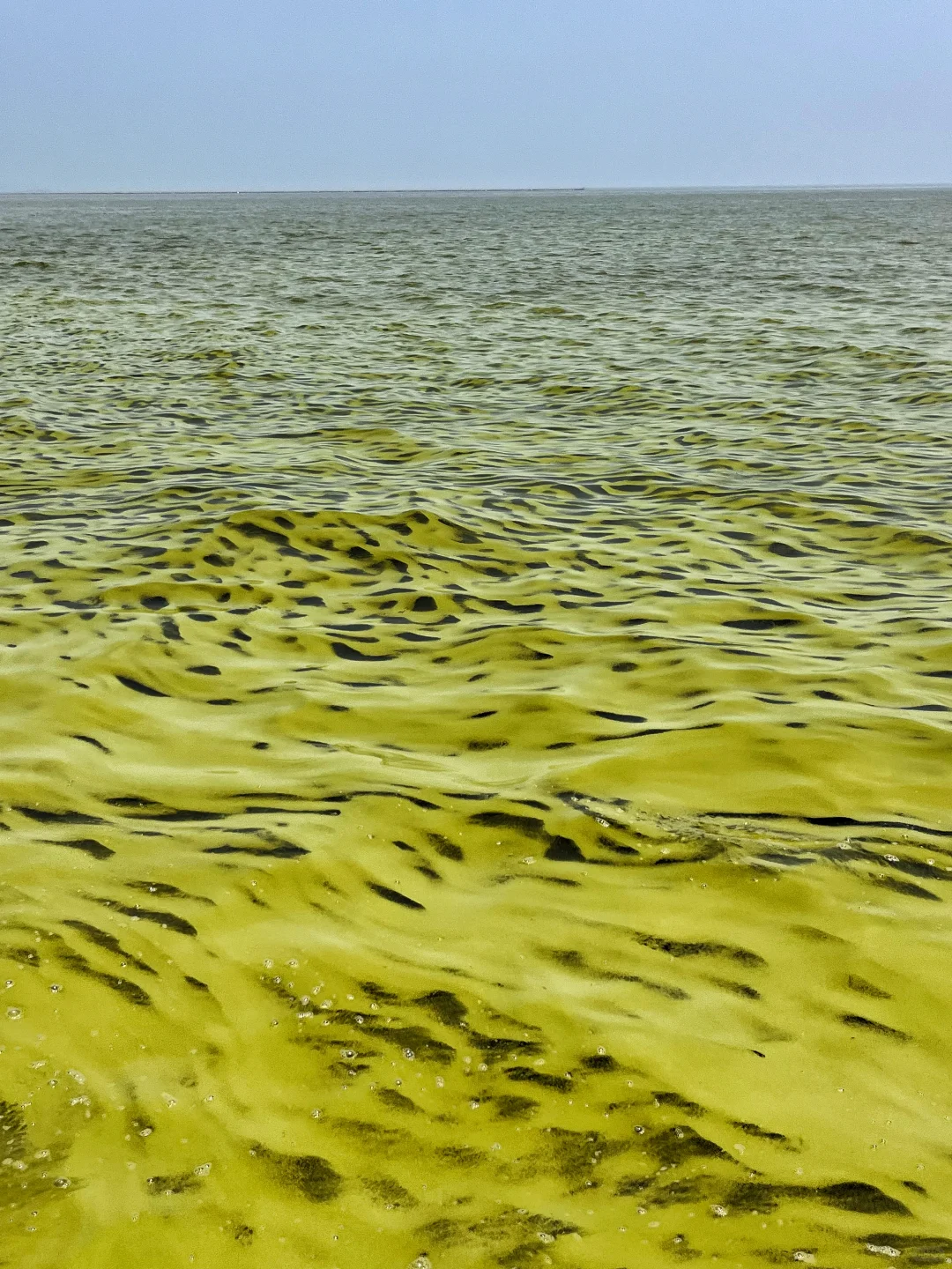 无锡济州岛！！