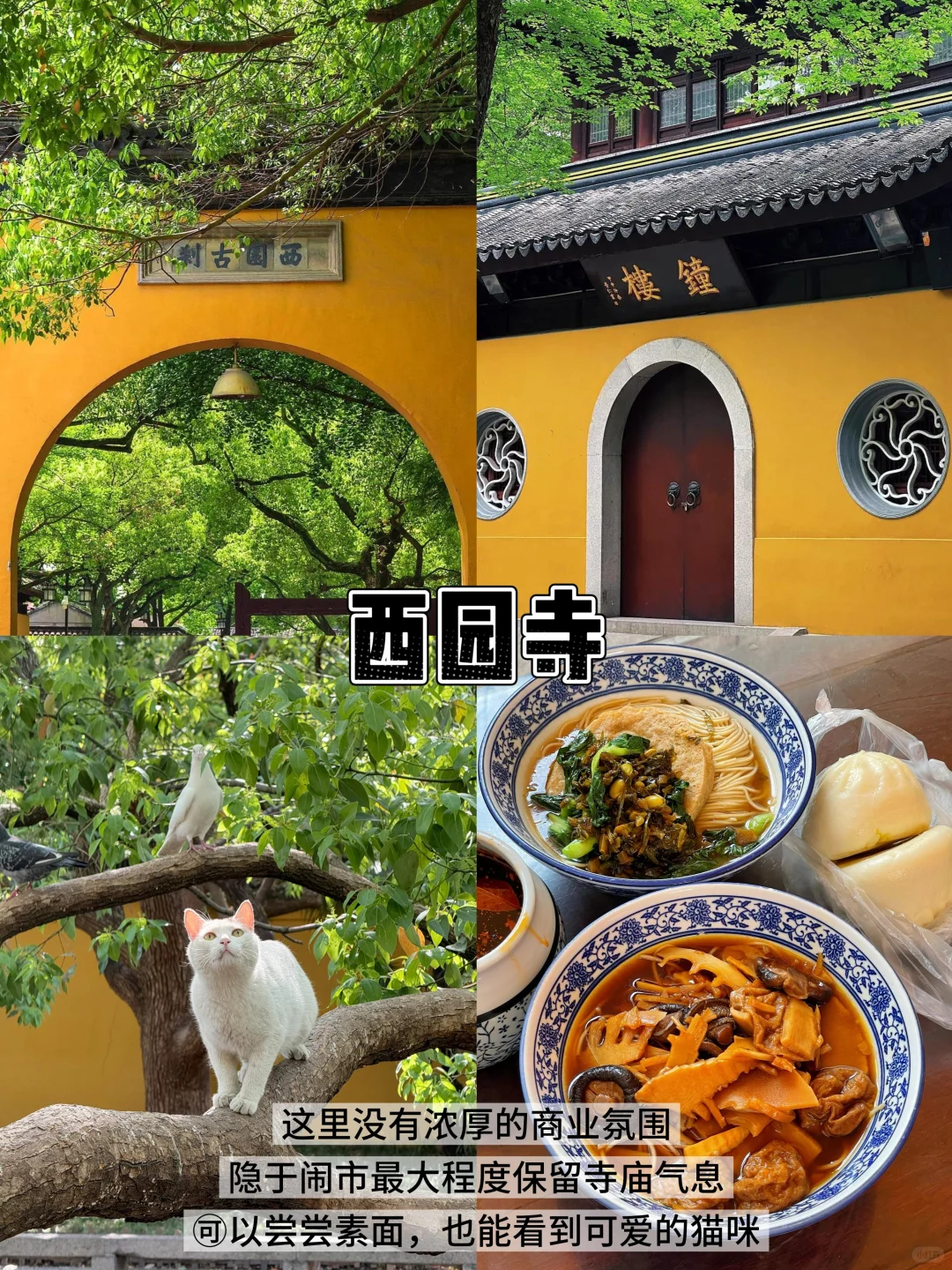 苏州📍两天一夜｜懒人版保姆级逛吃攻略‼️