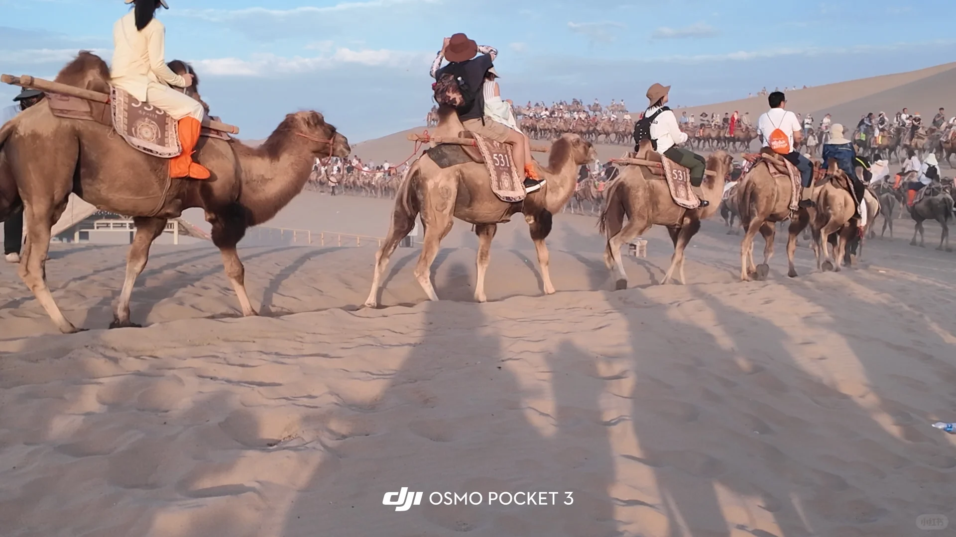 青甘🚗｜反向自驾 Day ❹