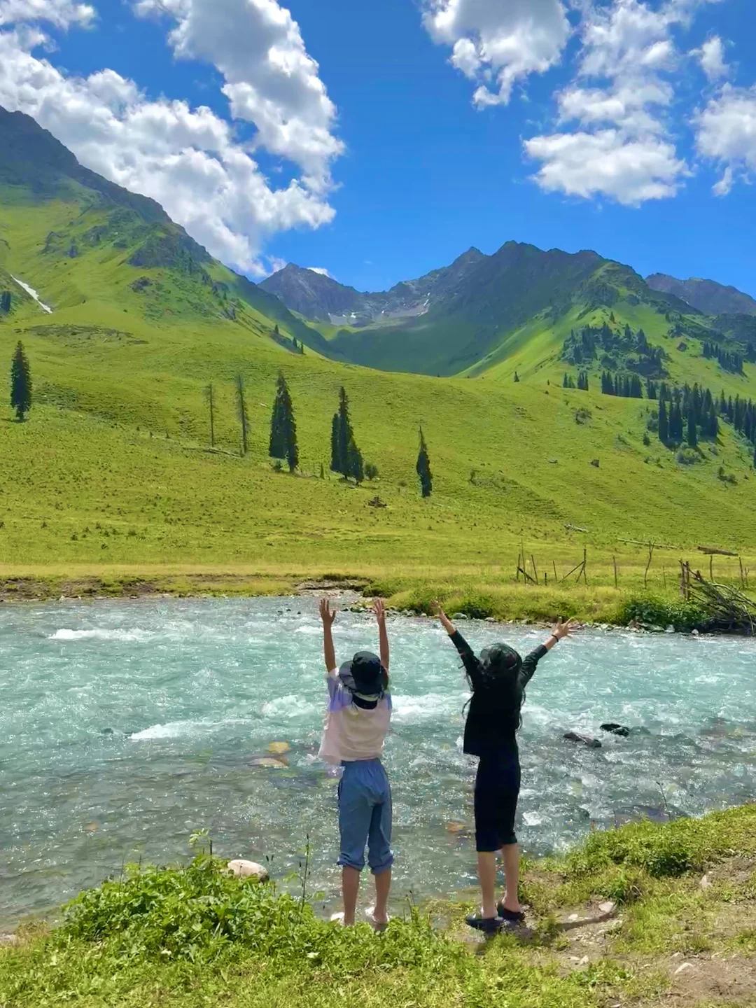 人生live！新疆的夏天真的是人间理想🌲🐑🐂