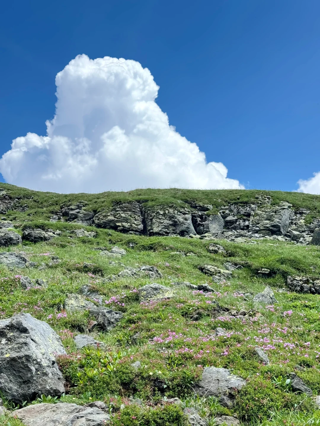 长白山西坡天池实况💥超详细攻略