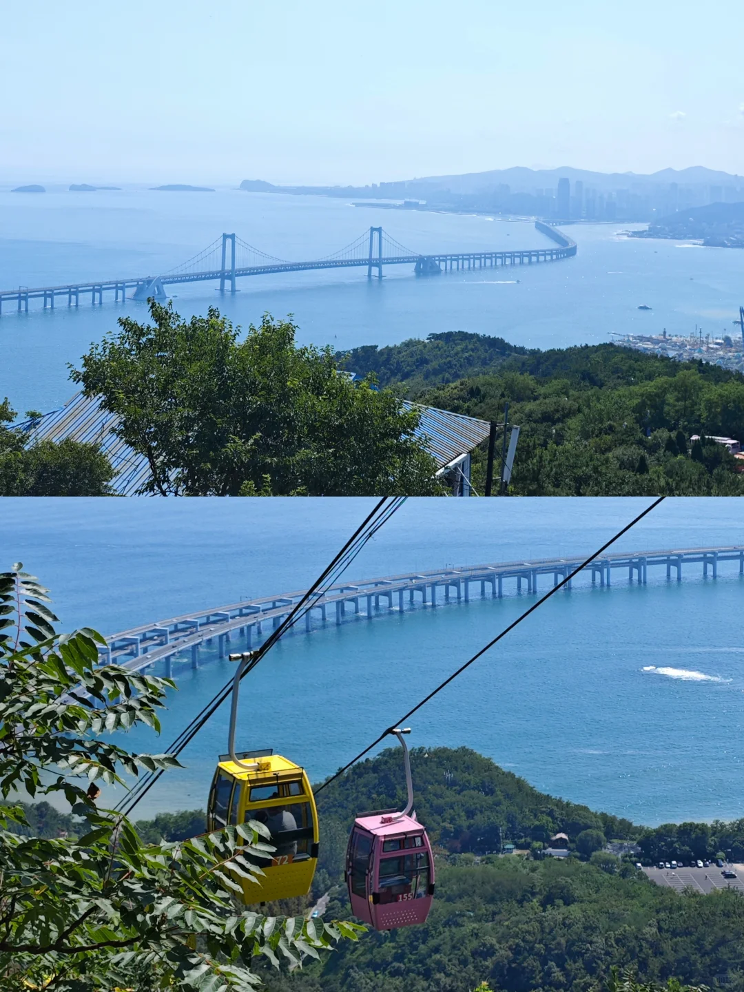 逃离天津计划：大连。