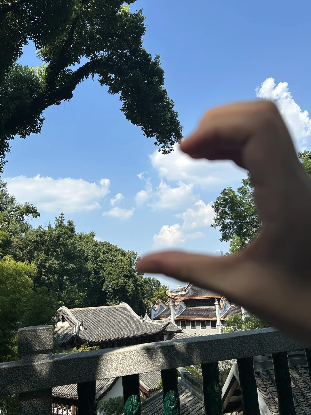 要被热鼠了，但是很开心