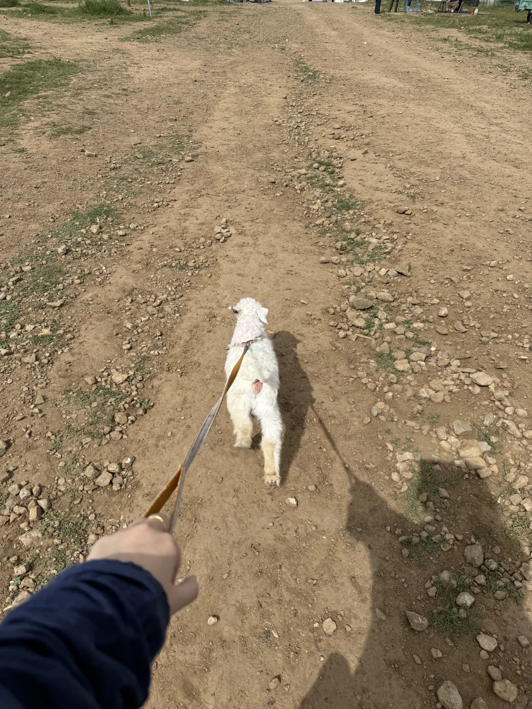 北京—>乌兰察布周末游全参考